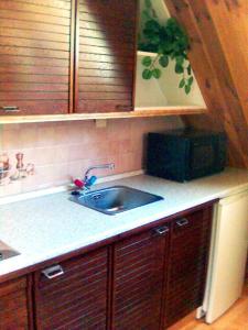 a kitchen counter with a sink and a microwave at Apartment Herlikovice in Trutnov