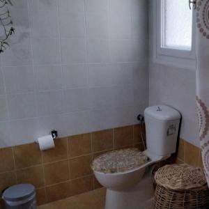 a bathroom with a toilet and a window at Anna's Apartment in Galissas