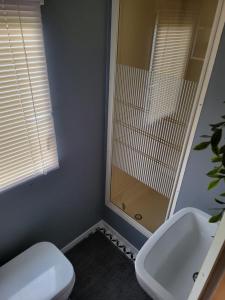 een badkamer met een douche, een toilet en een wastafel bij Thorness Bay in Porchfield