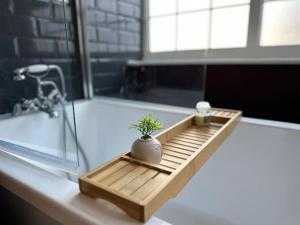 a small plant on a wooden tray on a bath tub at Panteinion Hall in Llanbedr