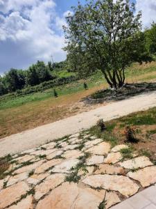 Fotografie z fotogalerie ubytování VILLA MILLEFIORI v destinaci Tornareccio