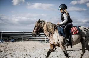 Reiten in der Pension oder in der Nähe