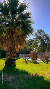 Zahrada ubytování El Gran Tacú - La Soñada