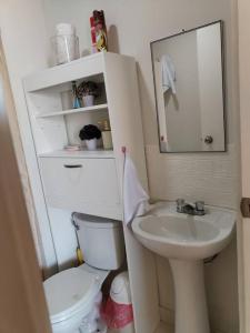 La salle de bains est pourvue de toilettes, d'un lavabo et d'un miroir. dans l'établissement Bello departamento en altozano, à Tacna