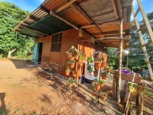 una casa con macetas delante de ella en Ceiba Ganadito, en Drake