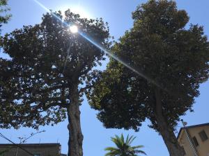 Fotografia z galérie ubytovania Villa Falconieri Sorrento Suite v destinácii Sant'Agnello