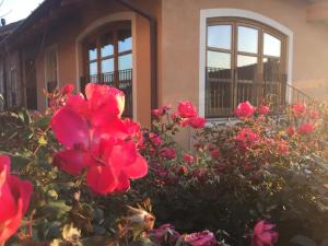 um arbusto de rosas vermelhas em frente a uma casa em La Corte dei Grappoli em Viarigi