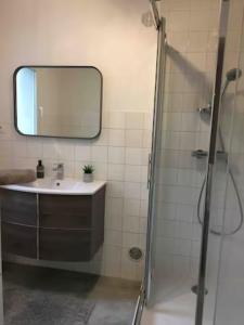 bagno con lavandino e doccia con specchio di Chez VICTOR le pêcheur a Locquémeau