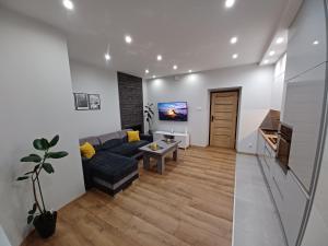 Televízia a/alebo spoločenská miestnosť v ubytovaní Apartament Staszica