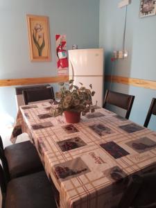 a table with a potted plant sitting on top of it at Brisas de montaña in Las Compuertas