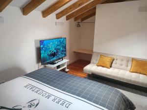 a room with a bed and a couch and a flat screen tv at Charm studio in Bombarral
