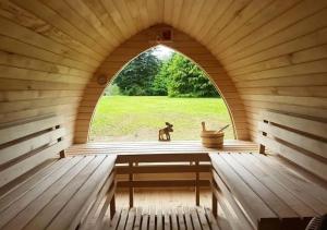 a small dog sitting on a window sill in a sauna at L'Atelier in Sarlande
