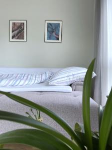 Auszeit für Genießer am Mittelrhein, Koblenz في كوبلنز: سرير في غرفة بيضاء مع نبات