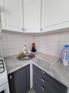 a kitchen with a sink and a counter top at Panda flat in Astana