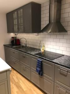 a kitchen with gray cabinets and a sink at Split 2 in Veberöd