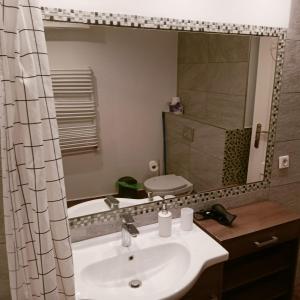 a bathroom with a sink and a mirror at Pokoje u Danuty in Piwniczna-Zdroj +22 photos