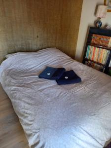 a bed with two hats on top of it at Maison auvergnate rénovée et confortable in Murat +7 photos