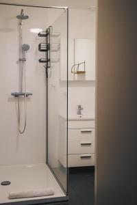 y baño con ducha acristalada y lavamanos. en Smartflats - L'Orangerie I Maastricht, en Maastricht