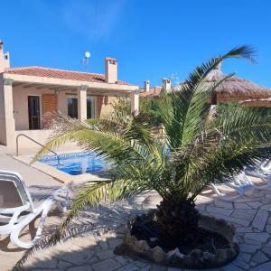 a palm tree in front of a house at Casa La Rana in Calafat