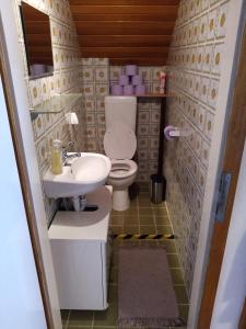 a small bathroom with a toilet and a sink at Rooming Green mit Seeblick in Weyregg +11 photos