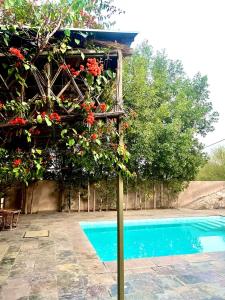 a tree with red flowers next to a swimming pool at THE BAREWITHIN HOUSE in Jaipur