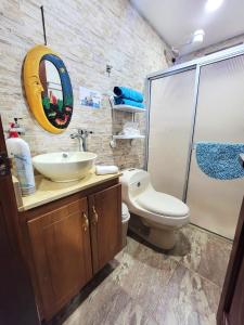 W łazience znajduje się umywalka, toaleta i lustro. w obiekcie PaloSanto, Casa Rural w mieście Jardin