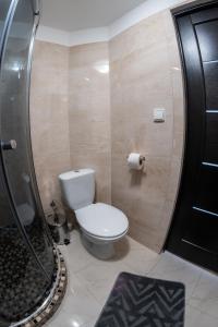 a bathroom with a toilet and a shower with a toilet paper roll at Pipash in Dragobrat