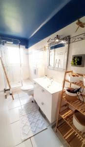 La salle de bains est pourvue d'un lavabo, de toilettes et d'un miroir. dans l'établissement Au calme agréable 2 pièces balcon vue verdure centre ville, au Cannet
