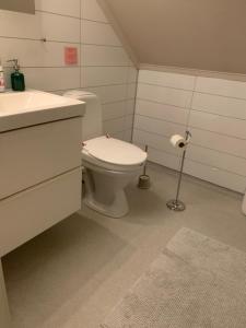 a bathroom with a white toilet and a sink at Privat soverom in Moss