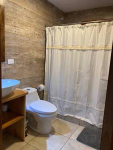 a bathroom with a toilet and a shower curtain at Hometainer Río Cochrane 2 in Cochrane