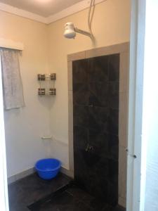 a bathroom with a shower with a blue bowl at Studio eden in Nairobi