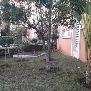 Foto sihtkohas Beni Mellal asuva majutusasutuse Le bon coin benimellal galeriist
