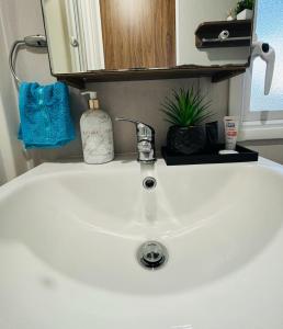 a bathroom sink with a faucet and a mirror at WILD DUCK HAVEN RESORT in Belton