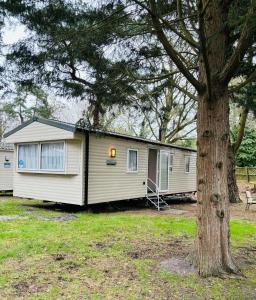 a white caravan with a tree next to it at WILD DUCK HAVEN RESORT in Belton