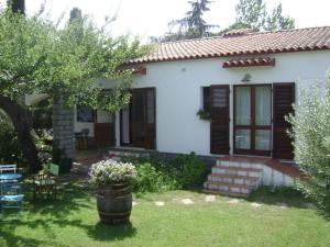 Gallery image of Hotel Sandalyon in San Teodoro