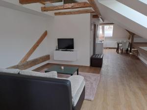 Televízia a/alebo spoločenská miestnosť v ubytovaní Loft Polná