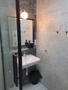 Kúpeľňa v ubytovaní Loft Polná + 8 fotografií