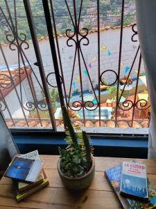 uma mesa com um livro e um vaso de plantas e uma janela em Tatami Hostel em Bucaramanga
