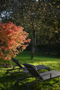 Zahrada ubytování une oasis dans le perche