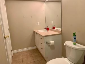 a bathroom with a toilet and a sink and a mirror at 2 bedroom basement with private side entrance in Guelph