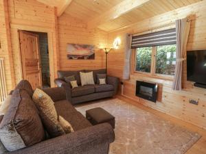 a living room with a couch and a television in a cabin at Little Lodge in Newton Stewart