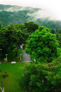 Blick auf einen Park mit einem großen Baum in der Unterkunft Athirappilly Rainland Resort in Athirappilly