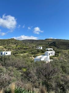 a group of white houses on a hill with trees at Rouvas Villas in Apomarmá