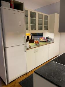 مطبخ أو مطبخ صغير في Holte lejlighed