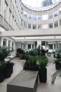 une cour dans un bâtiment avec des plantes en pot dans l'établissement Luxury Capella Court, à Londres