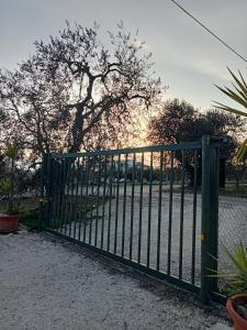 ein grünes Metalltor mit einem Baum im Hintergrund in der Unterkunft La villa di campagna in Pisticci