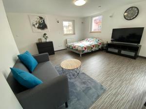 a living room with a couch and a television at Studio lumineux, à 2 minutes de Colmar in Horbourg