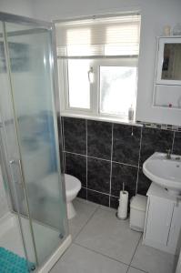 a bathroom with a shower and a toilet and a sink at Cuan na bPiobairí in Mullingar