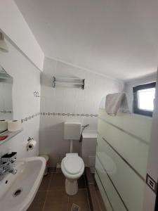 Koupelna v ubytování Casa Octaral