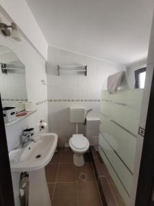 Koupelna v ubytování Casa Octaral